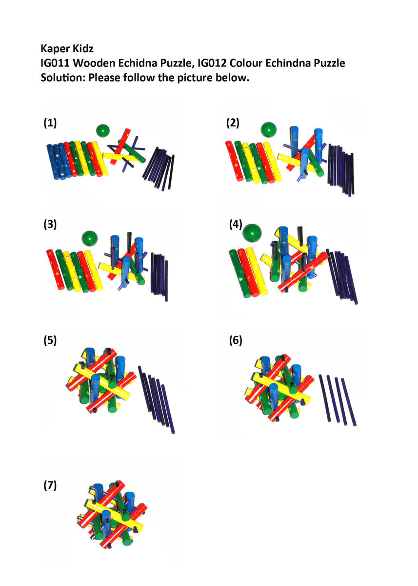 COLOUR ECHIDNA  PUZZLE