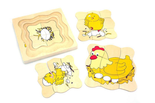 CHICKEN LIFECYCLE PUZZLE(4in1)